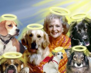 Betty White in Dog Heaven